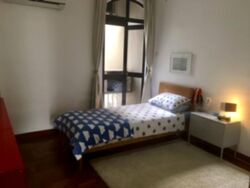 Tanglin Park (D10), Condominium #577225331